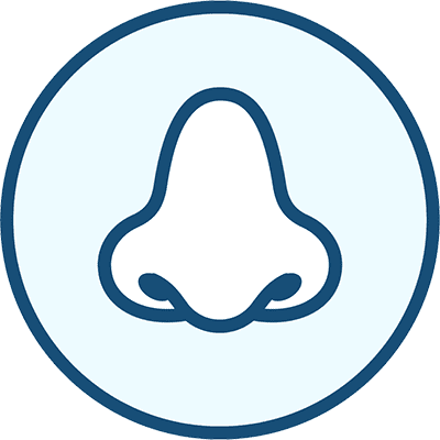 Icon of a nose, representing Smell.