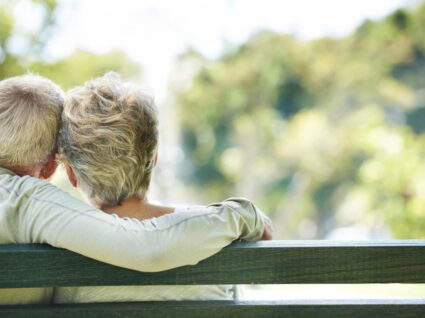 Istock_000027629975_large