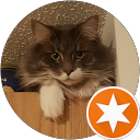 Lisa O profile picture