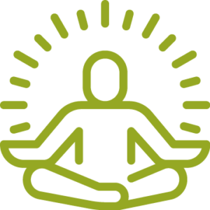 6 Dimensions of Wellness Emotional Icon