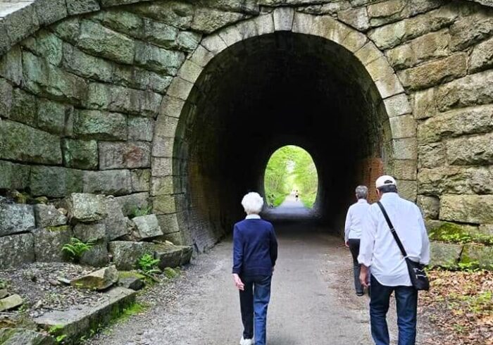 Medway The Willows Walking Club at Tunnel