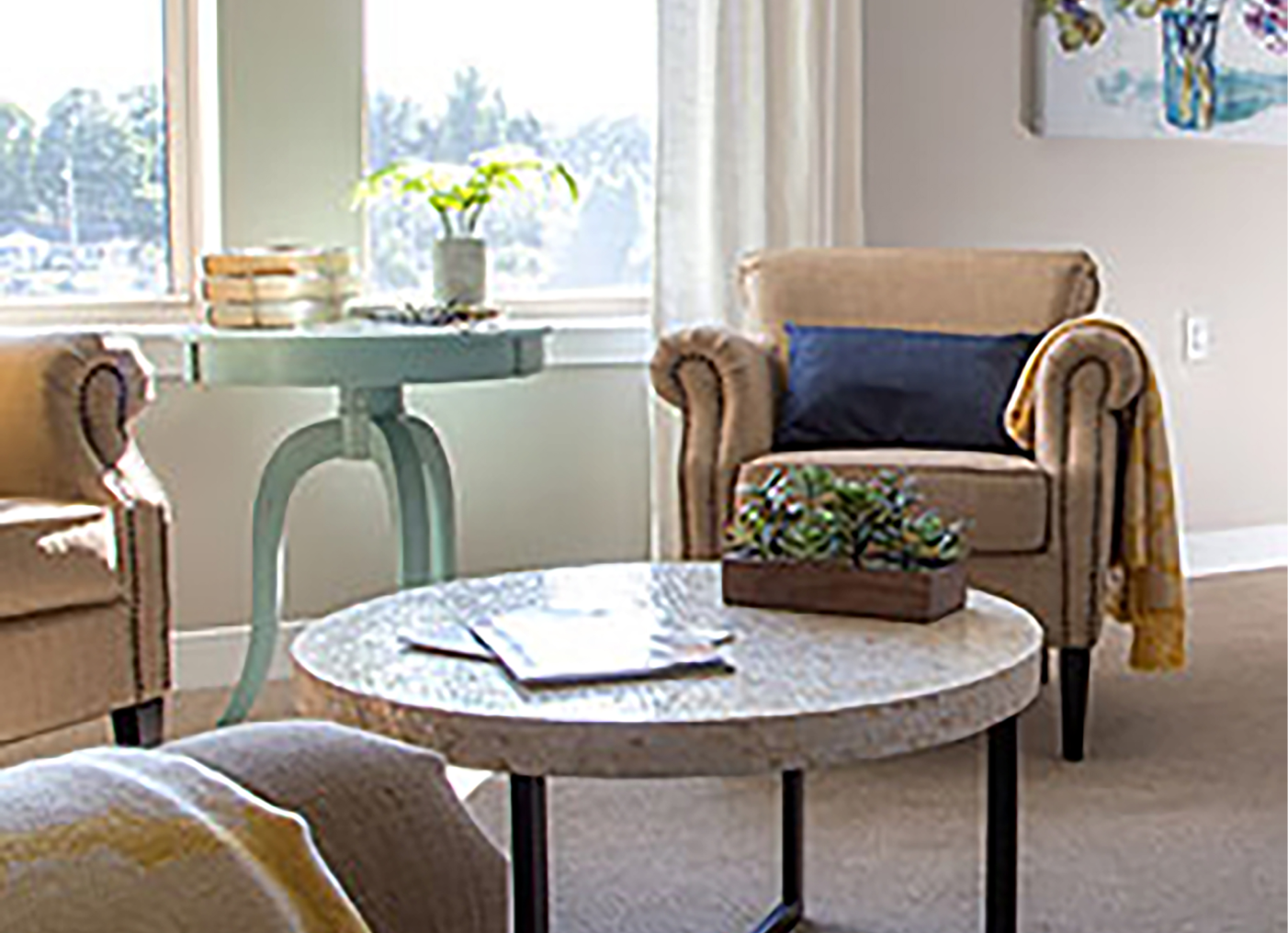 Designing for Seniors SALMON Health and Retirement