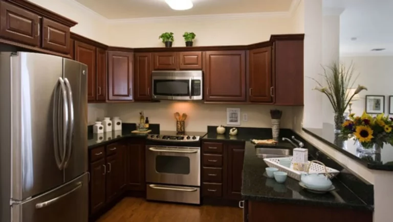 SALMON at Worcester The Willows resident's kitchen with stainless steel appliances